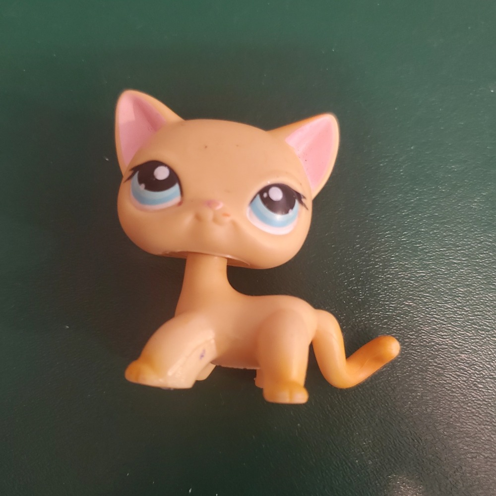 Littlest Pet Shop Shorthair Cat 339 Yellow Blue Eyes Authentic Hasbro LPS Toy